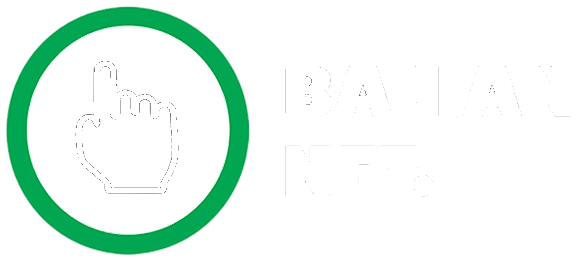 Logo Balian Net